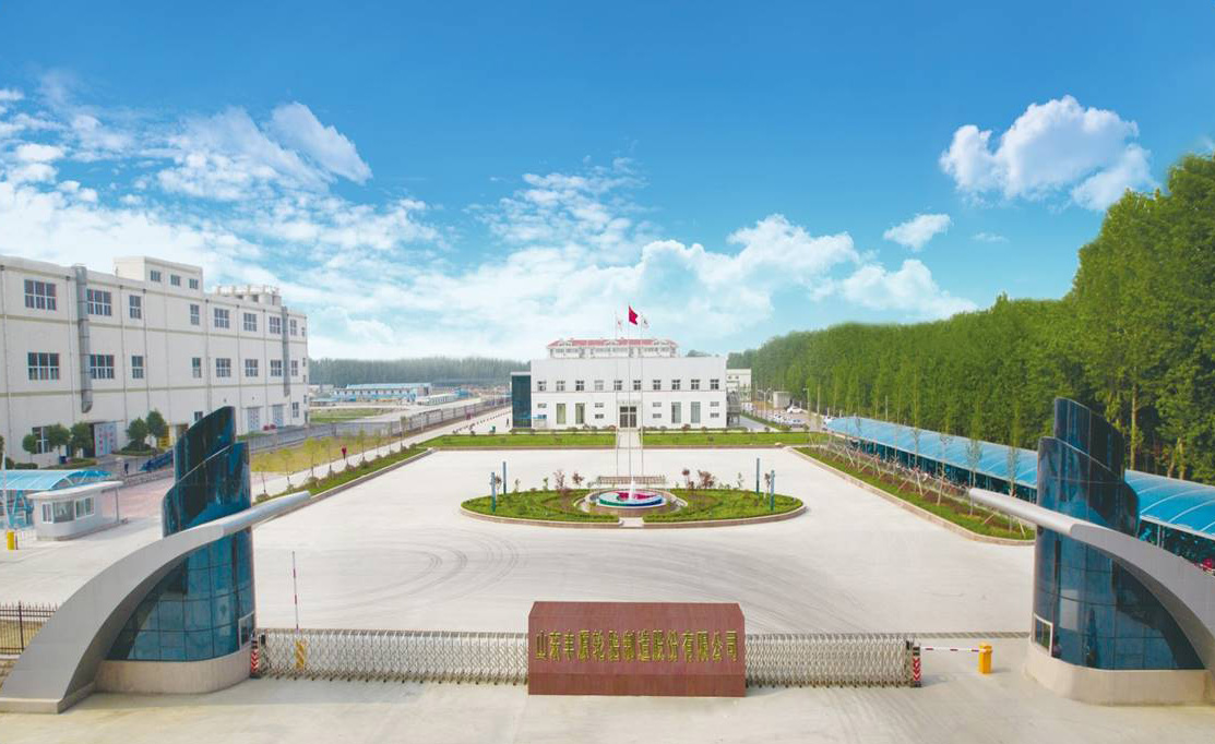 Shandong Fengyuan Tire Manufacturing Co.,Ltd  (внешний вид завода Massimo)